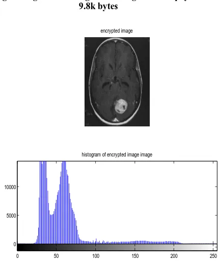 Fig 5: Payload vs psnr for brain image at constant  scaling factor 