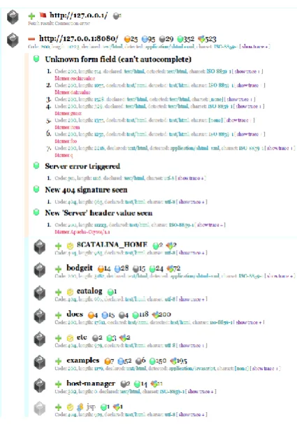 Figure 1: The scan results snapshot of Google Skipfish 