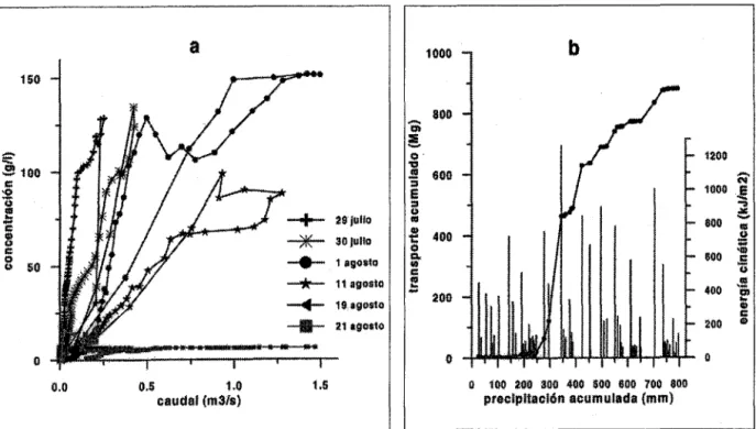 Figura  3.  Ejemplo de la  disminución temporal de la  carga sólida específica cuantifi- cuantifi-cada durante 1995 en la  estación de Ca  L'lsard