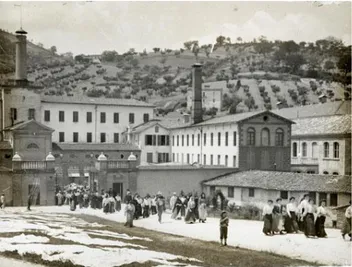 Fig. 3: Miliani Paper Factory at the beginning of the 20th  century 