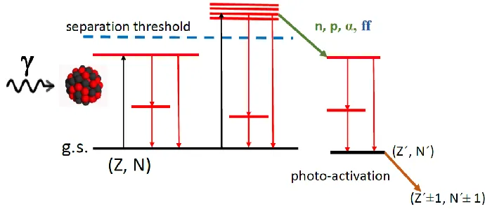 Fig. 2. (colour online) Schematic presentation of the photonuclear processes which can be studied in experiments at the ELI-NP GBS