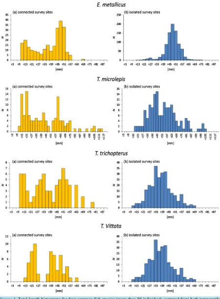 Figure 3. Total-length histograms for four common fish species (more than 50 individuals captured from both temporarily connected and isolated waterbodies) recorded during the rainy season survey