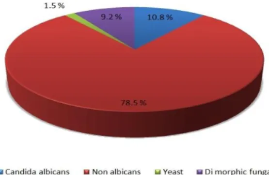 Figure 2: Percentage of candida albicans, nonalbicans,  yeast and dimorphic fungi. 