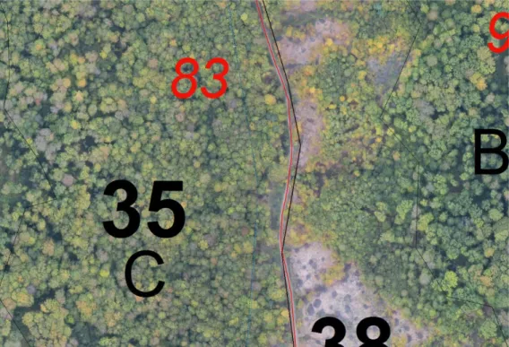 Figure 10 - Detail on the orthophotomap EB of  Mihăești,   with the path of the  forestry road FE018 from GIS database (black line with red points) and the 