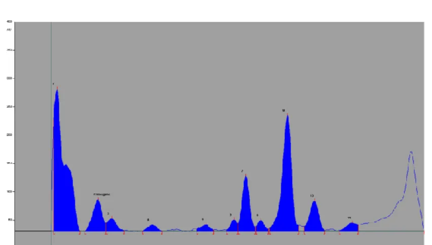 Figure 10. Densitogram of polyphenols (UV 254 nm) separated from Teucrii herba  methanolic extract