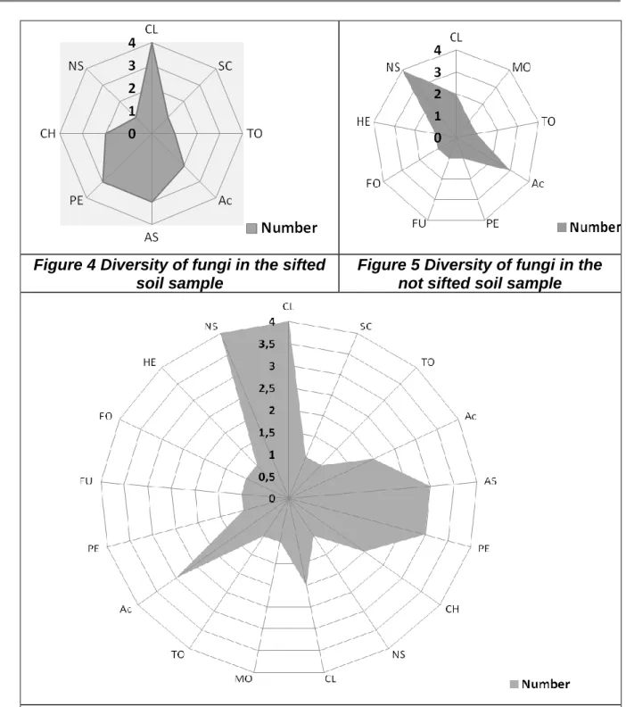 Figure 5 Diversity of fungi in the  not sifted soil sample 