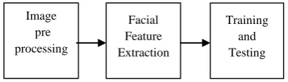 Fig 1: Steps of face recognition system   