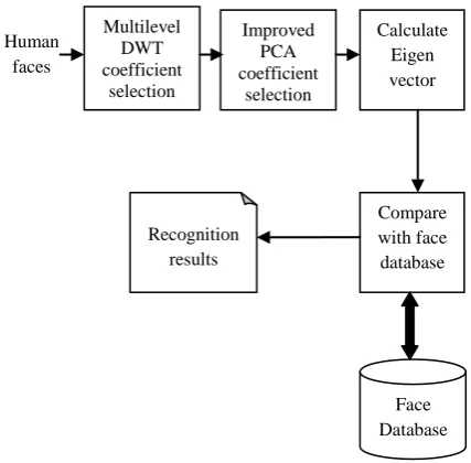 Fig 2: Selection of coefficients and recognition of features 