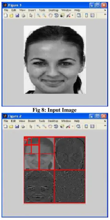 Fig 8: Input Image 