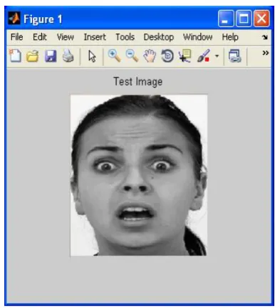 Fig 16: Recognized image 