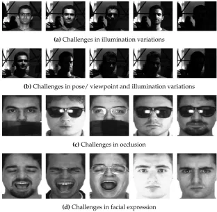 Figure 1. Examples of several challenges can occur in face recognition