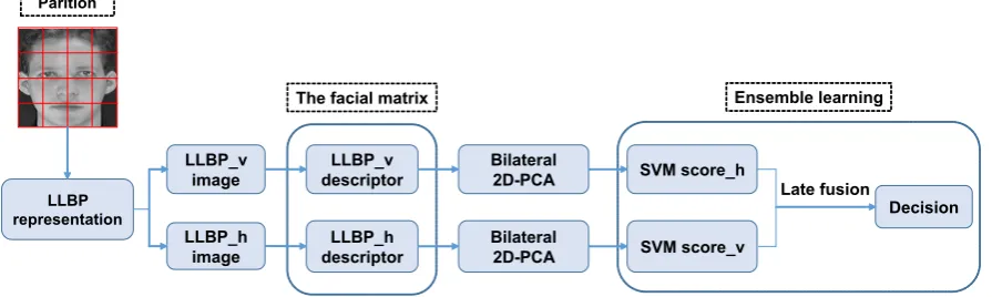 Figure 2with Bilateral 2D-PCA subspaces produces compact and robust descriptors that effectively adaptfor the feature representation task