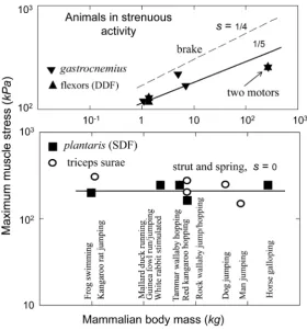 Table 6. The analysis of the allometric data by Maloiy et al. [47]. The shown large error is due to relatively wide confidence limits