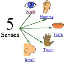 Fig 1: Five senses of humans  