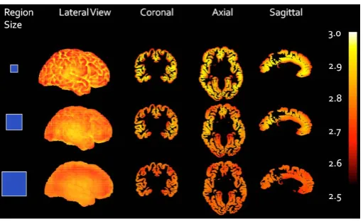 Figure 4. Local fractal values of a cortical surface as a function of re-gion size. A tessellated mesh was tiled with 1 mm cubes, each of which was used as a center point for computing the local fractal di-mension