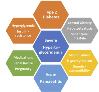 Figure 1 Intertwined factors contributing to hypertriglyceridemia-related pancreatitis in type 2 diabetes.
