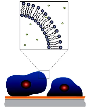 Figure 13. Nanocomposite materials analysis [96]. 