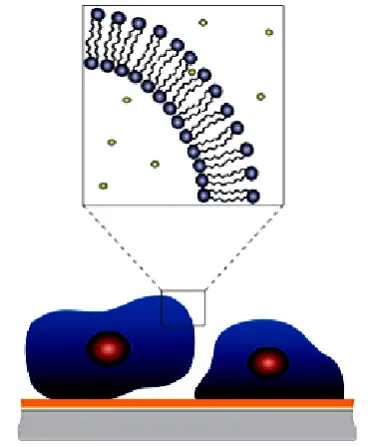 Figure 13. Nanocomposite materials analysis [96]. 