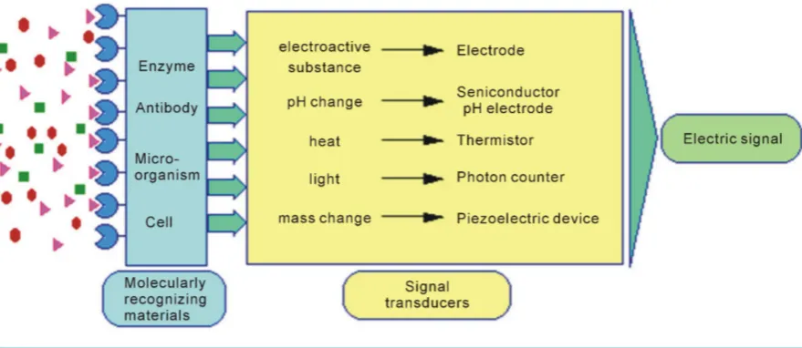 Figure 4. Schematic for generic biosensor [36].                                                                 