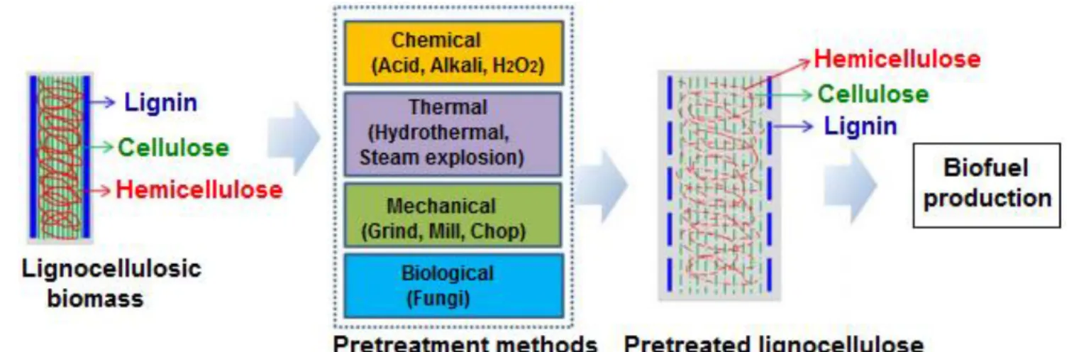 Fig. 1. Lignocellulosic biomass pretreatments [16] 