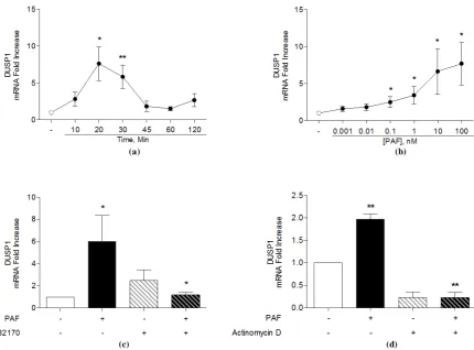 Figure 1. Basal expression of DUSP1, DUSP2, DUSP5 and DUSP6  mRNA relative to GAPDH in human monocytes