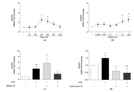 Figure 3. Modulation of DUSP5 mRNA expression by PAF in human monocytes. Cells were starved 3 hours in RPMI 1640 medium without serum before stimulation with PAF