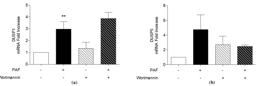 Figure 4. PI3K involvement in PAF-stimulated DUSP1 and DUSP5 mRNA expression in human monocytes