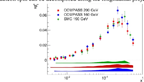 Fig. 1.  COMPASS and SMC data for the proton longitudinal spin structure function g1p