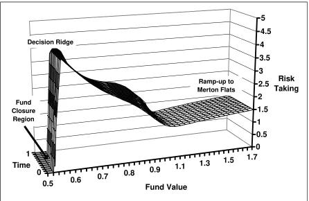 Figure 3.  Optimal Risky Investment During an Earlier Evaluation Period  