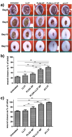 Figure 7. Accelerated wound healing in mice treated with PLGA-LL-37 NPs compared to controls