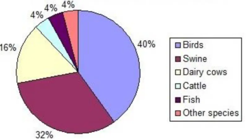 Figure 1: Distribution of compound feed consumption on animal species 