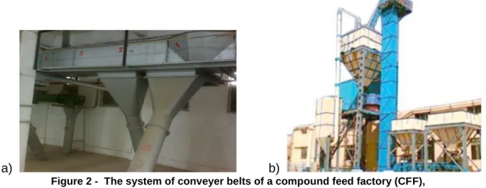 Figure 2 -  The system of conveyer belts of a compound feed factory (CFF),  consisting of horizontal conveyer belts (a) and vertical elevator belts (b) 