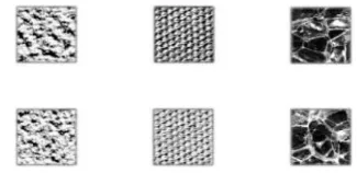 Fig 1: Sample Texture images. 