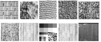 Fig 7: Samples of four images from the Brodatz texture album. 