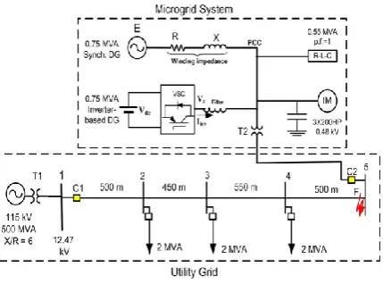 Fig. 1. Basic Structure of MicroGrid plant. 