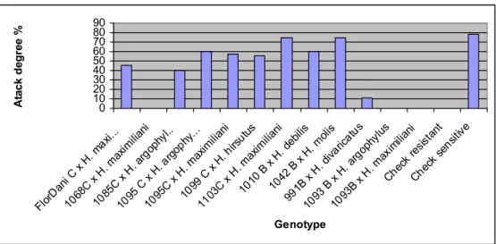 Figure 2. Atack degree of broomrape in greenhouse, in 2016 