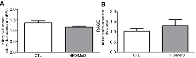 Figure 6 AGE deposition in the kidney assessed by(HFD/MetS) for 20 weeks.Abbreviations: ﬂuorescent spectroscopy (A) and RAGE mRNA levels evaluated by RT-PCR in control (CTL) and HFD-induced MetS rats CTL, control; HFD, high-fat diet; MetS, metabolic syndrome; RT-PCR, reverse transcription polymerase chain reaction.