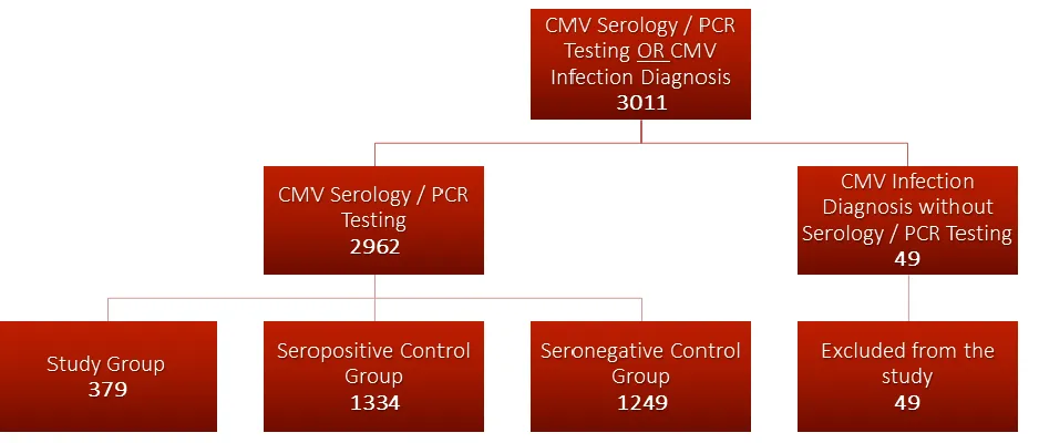 Figure 1. Study Design The patient population was divided into three groups after excluding patients with no 