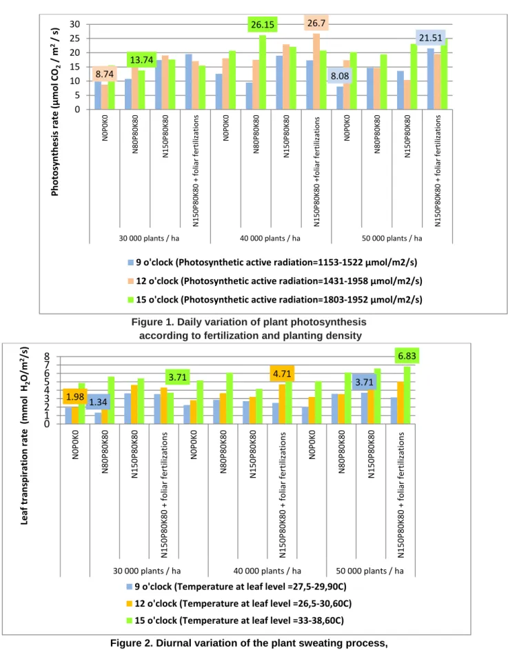 Figure 2. Diurnal variation of the plant sweating process,   according to the density of planting and fertilization  