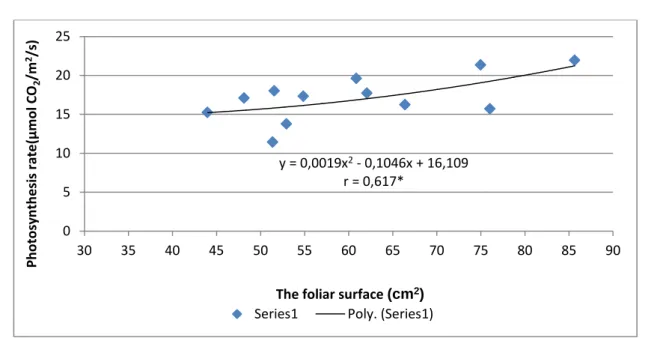 Figure 3. Correlation between the foliar surface and the photosynthesis process   in sweet potatoes in the sandy soils conditions  