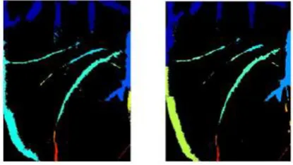 Fig. 3. Images after pre processing 