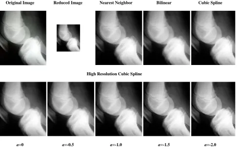 Table 3. PSNR of images zoomed using Nearest Neighbor, Bilinear, Bicubic and High resolution cubic spline 2 dimensional interpolation function 