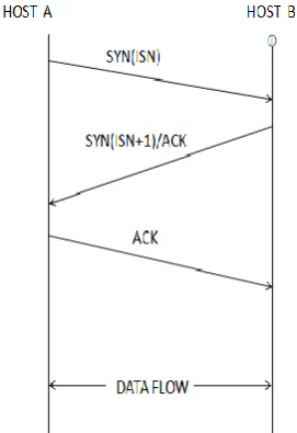 Fig. 3:IP Header: 
