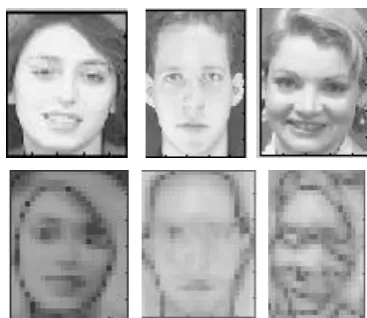 Fig 5: Original image, the discriminative common vectors 