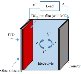 Fig. 1. DSSC configuration. 