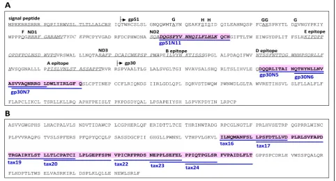 Fig. 3 Schematic representation of CD4+ T-cell epitopes based on the deduced amino acid sequences of the BLV Env (gp51 and gp30) (a), andTax (b) proteins