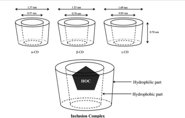 Figure 3 Structure of native cyclodextrins and inclusion complex formed with petroleum  hydrocarbons (HOC) (Trellu si colab., 2016) 