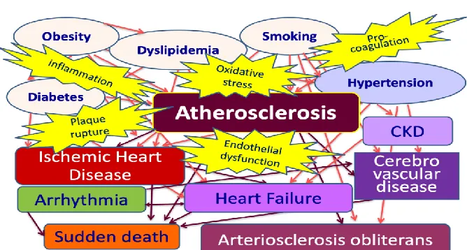 Figure 4. Risk factors for atherosclerosis progression and cardiovascular disease.Cardiovascular diseases are mainly caused by atherosclerosis progression induced coronary risk factors, like smoking, hypertension, dyslipidemia, diabetes, and obesity