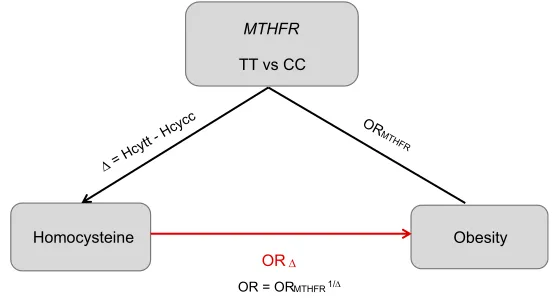 Figure 7 Forest plot of standardized mean difference (SMD) in Hcy levels between obese patients and control subjects in included studies.