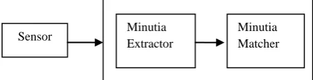 Figure 2 : Simplified Fingerprint Recognition System  